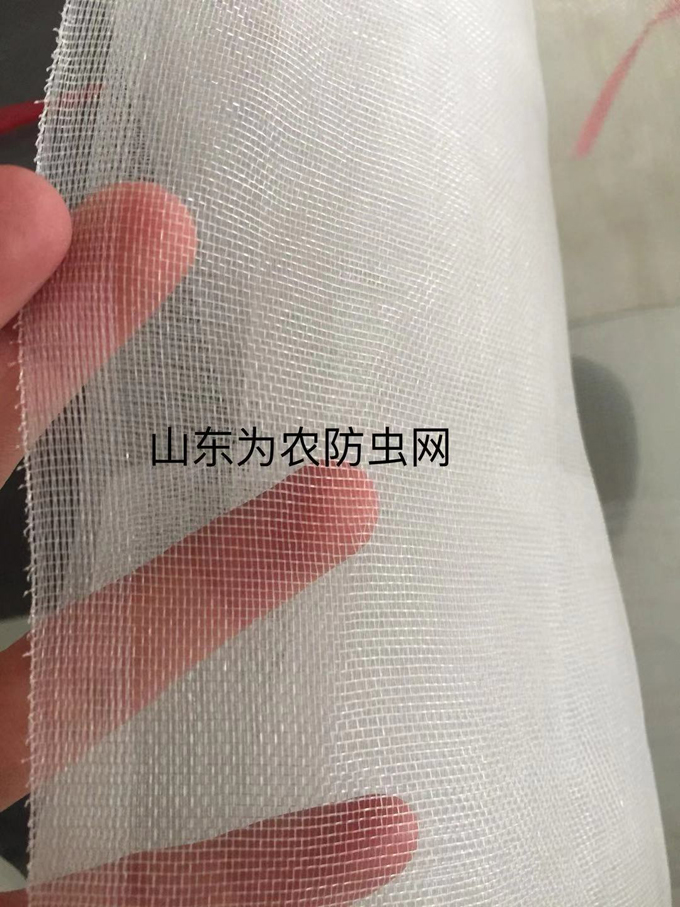 大棚防虫网